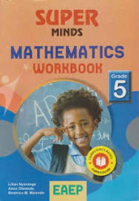Super Minds Maths Work Book Gr5